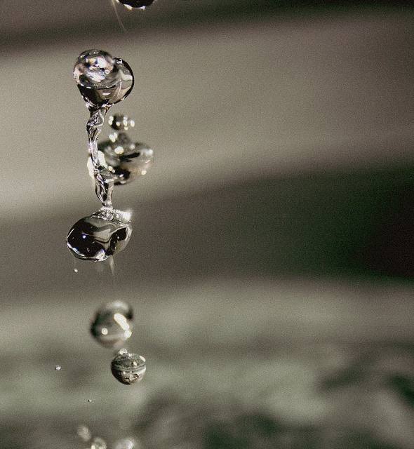Close-up of water droplets falling from a source with a blurred background