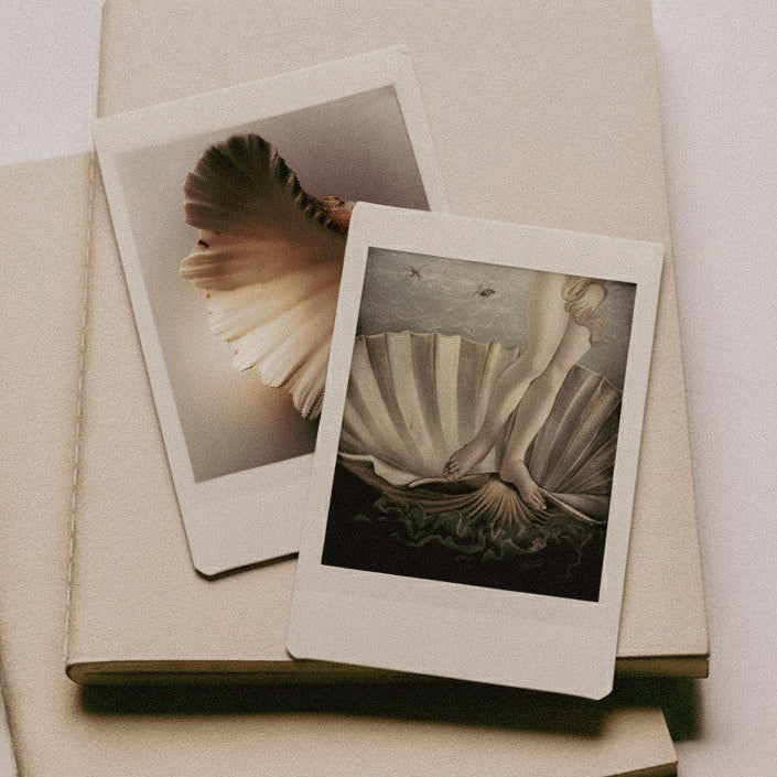 Two Polaroid photos of shell-like drapery resting on beige sketchbooks, inspiration for the Ani Han shell cuff bracelet.