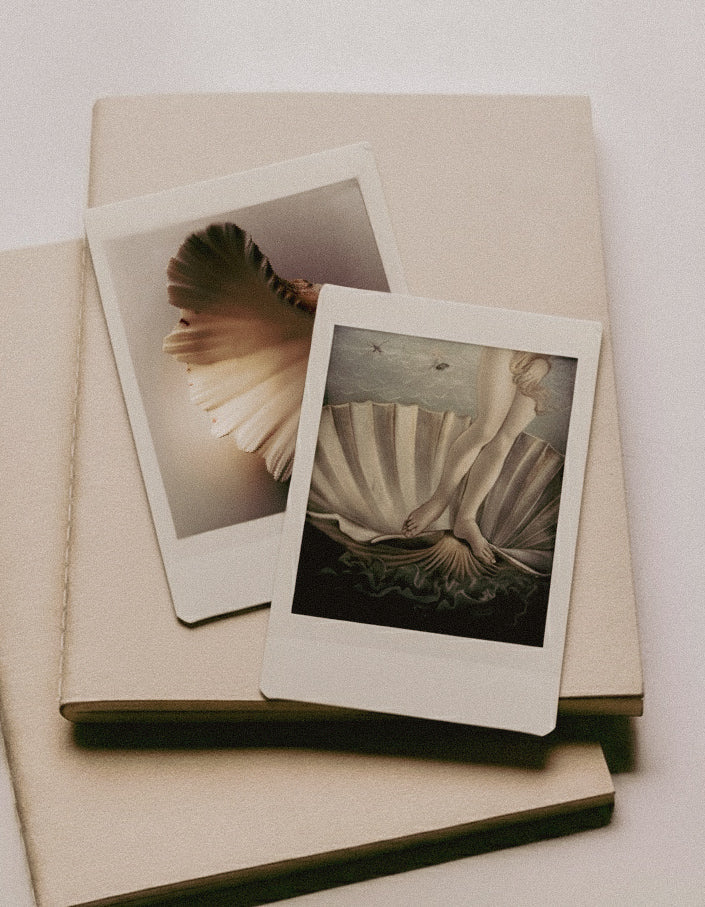 Two Polaroid photos of shell-like drapery resting on beige sketchbooks, inspiration for the Ani Han shell cuff bracelet.