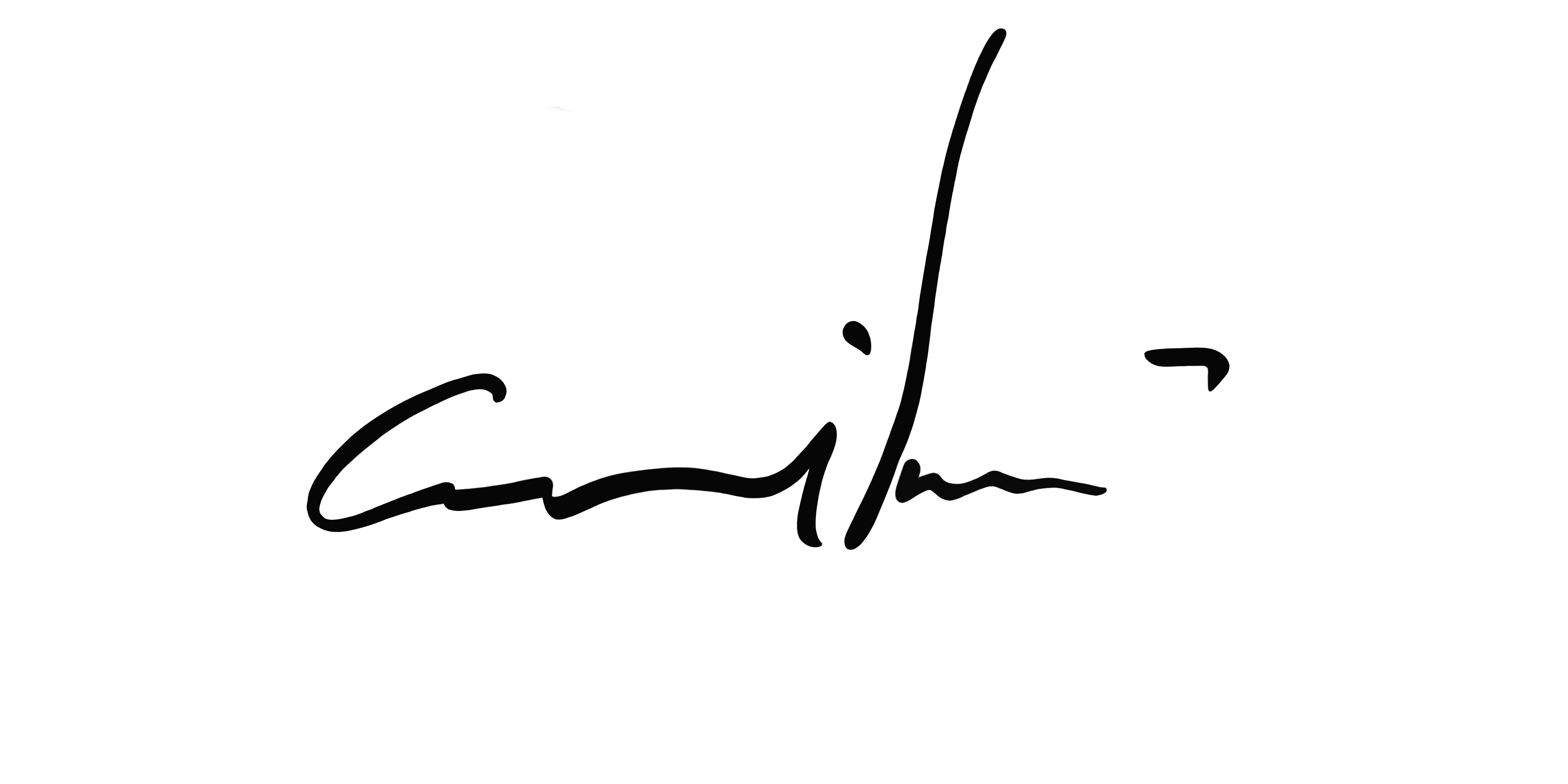 Signature Ani Han on a white background