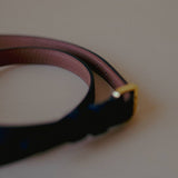 Belt Black 1