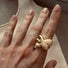 Sasha (alkroks) showcases a sculptural gold ring from Enso Design Lab’s Metamorphosis collection, creatively shaped like a twist or a knot, emphasizing innovative jewelry design. The unique form of the ring contrasts elegantly against her finger, highlighting its distinctive craftsmanship.